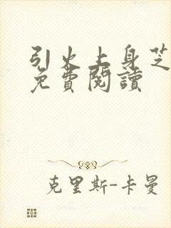 引火上身芝麻糖免费阅读