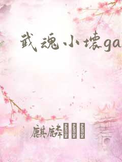 武魂小坏ga