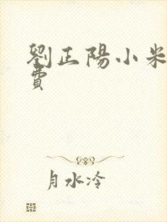 刘正阳小米多免费