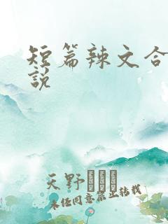 短篇辣文合集小说
