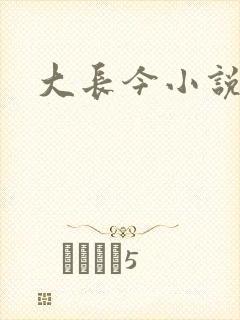 大长今小说下载