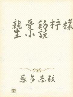 亲爱的柠檬精先生小说