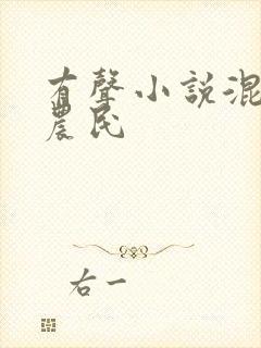 有声小说混世小农民