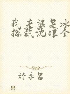 我老婆是冰山女总裁沈浪全集