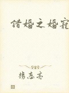 错婚之婚宠一世