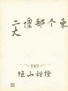 二傻那个东西真大