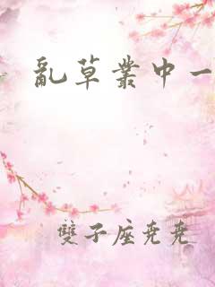 乱草丛中一杆枪