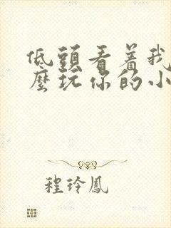 低头看着我是怎么玩你的小说