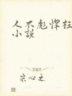 人不彪悍枉少年小说
