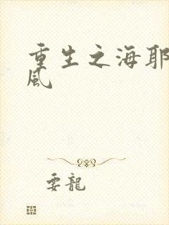 重生之海耶斯旋风