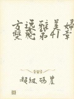 方逸雅美妇厨房双飞第41章