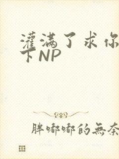 灌满了求你们停下NP