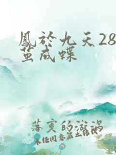 凤于九天28破茧成蝶