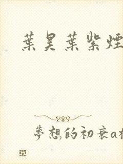 叶昊叶紫烟小说