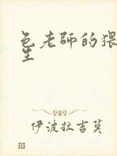 色老师的猥琐人生