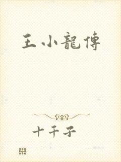 王小龙传