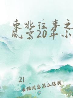 东北往事之黑道风云20年小说