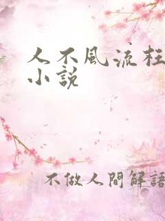 人不风流枉少年小说