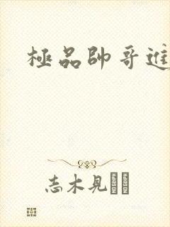 极品帅哥进化史