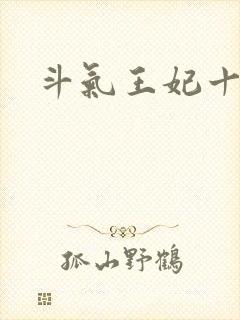 斗气王妃十五岁