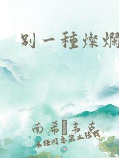 别一种灿烂生活