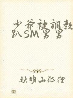 少爷被调教室跪趴SM男男