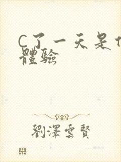 C了一天是什么体验