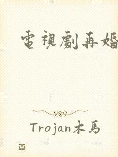 电视剧再婚家庭