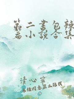 第二书包辣网短篇小说合集