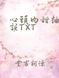 心头肉甜柚子小说TXT