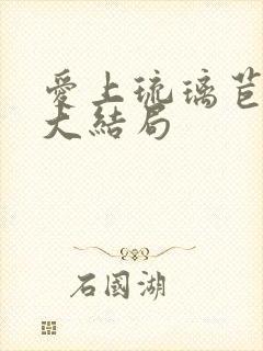 爱上琉璃苣女孩大结局