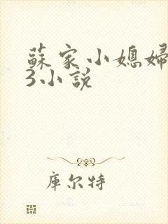 苏家小媳妇1V3小说