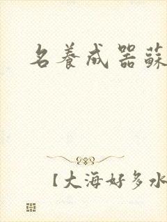 名养成器苏沫沫