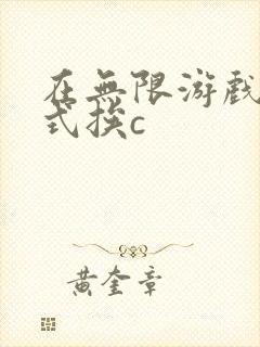 在无限游戏里花式挨c