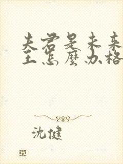 夫君是未来大魔王怎么办格格党