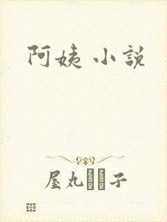 阿姨 小说