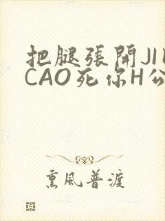 把腿张开JI巴CAO死你H公园