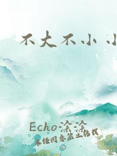 不大不小 小说