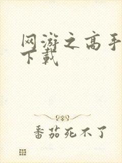 网游之高手寂寞下载