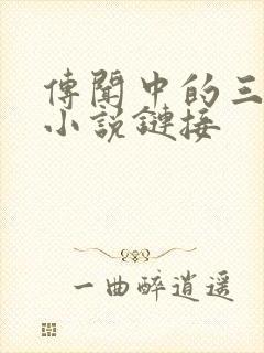 传闻中的三公主小说链接