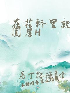 在花轿里就开始圆房H