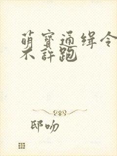 萌宝通缉令妈味不许跑