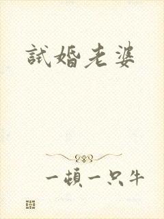 试婚老婆