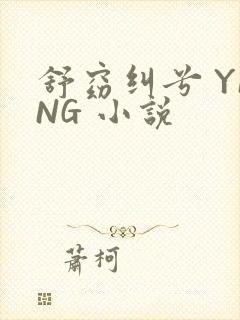 舒窈纠兮 YING 小说