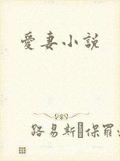 爱妻小说