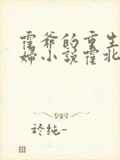 霍爷的重生小媳妇小说霍北江