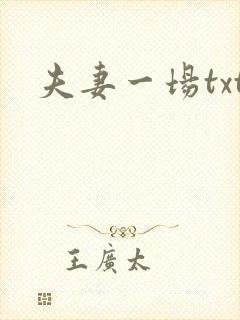 夫妻一场txt
