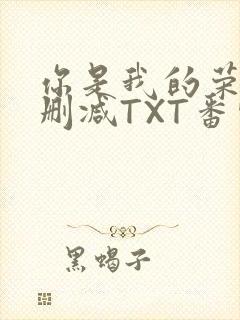 你是我的荣耀未删减TXT番外