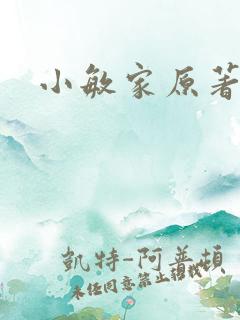 小敏家原著小说