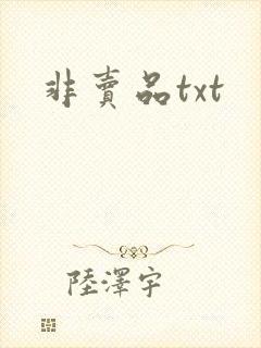 非卖品txt